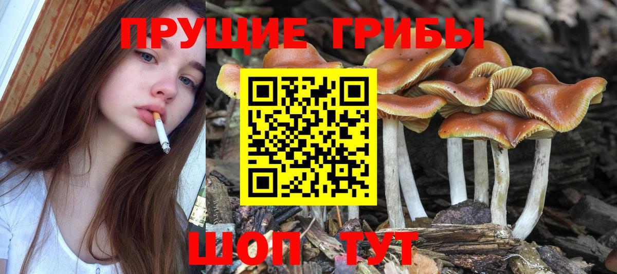 Псилоцибиновые грибы MAGIC MUSHROOMS Ачхой-Мартан