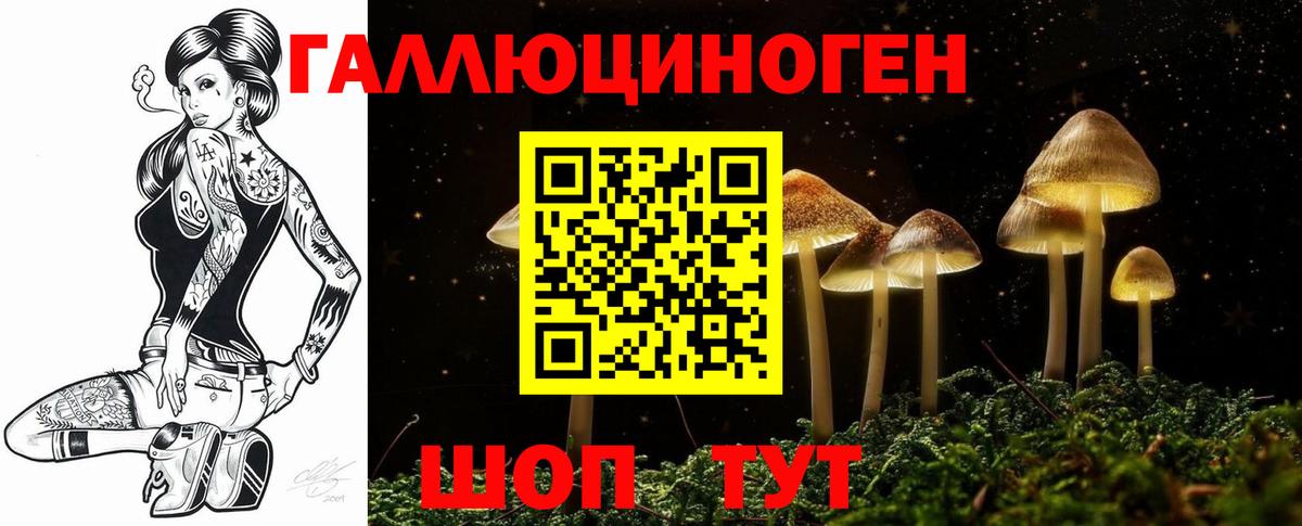 Ачхой-Мартан  Псилоцибиновые грибы ЛСД  Вход с VPN 